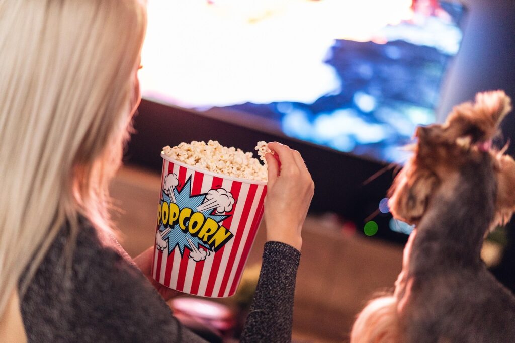 Never Miss an Episode of Your Favorite Series
